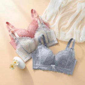 2309 Premium Quality Push Up Bra